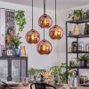 Ripoll Hängeleuchte Glas 20 cm Kupferfarben, 4-flammig