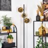 Ripoll Stehleuchte Glas 15 cm Gold, 3-flammig