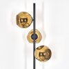 Ripoll Stehleuchte Glas 15 cm Gold, 3-flammig