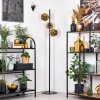 Ripoll Stehleuchte Glas 15 cm Gold, 3-flammig