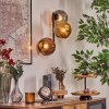 Ripoll Wandleuchte Glas 15 cm Gold, Kupferfarben, Rauchfarben, 3-flammig