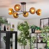 Koyoto Deckenleuchte Glas 15 cm Gold, Klar, 6-flammig