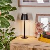 Salgadinho Tischleuchte LED Schwarz, 1-flammig