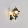Naofe Außenwandleuchte Grün, Schwarz, 1-flammig