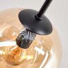 Gastor Deckenleuchte Glas 15 cm Bernsteinfarben, Klar, Rauchfarben, 8-flammig