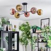 Ripoll Deckenleuchte Glas 15 cm Gold, Klar, Kupferfarben, 6-flammig