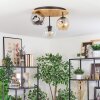 Ripoll Deckenleuchte Glas 15 cm Naturfarben, Schwarz, 3-flammig