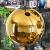 Koyoto Hängeleuchte Glas 20 cm Gold, 4-flammig