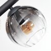 Koyoto Deckenleuchte Glas 15 cm Bernsteinfarben, Klar, Rauchfarben, 8-flammig