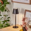 Salgadinho Tischleuchte LED Schwarz, 1-flammig