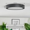 Isela Deckenleuchte LED Schwarz, 1-flammig