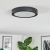 Isela Deckenleuchte LED Schwarz, 1-flammig