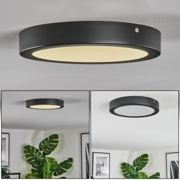 Isela Deckenleuchte LED Schwarz, 1-flammig