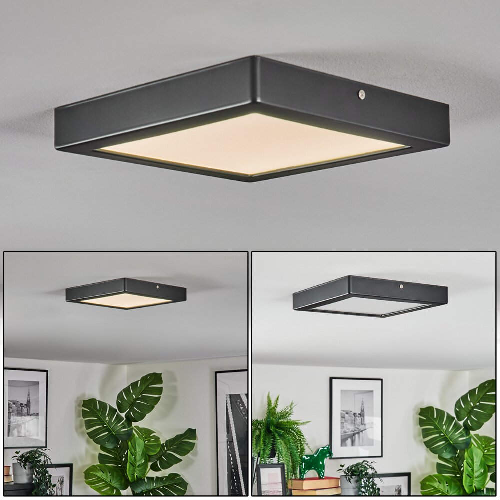 Isela Deckenleuchte LED Schwarz, 1-flammig main product photo