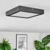 Isela Deckenleuchte LED Schwarz, 1-flammig