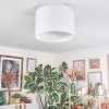 Soungou Deckenleuchte 38 cm Weiß, 1-flammig