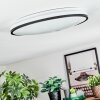 Onara Deckenleuchte LED Schwarz, Weiß, 1-flammig