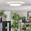 Onara Deckenleuchte LED Schwarz, Weiß, 1-flammig