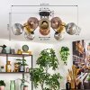 Ripoll Deckenleuchte Glas 15 cm Gold, Klar, Kupferfarben, Rauchfarben, 10-flammig