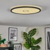 Simonstorp Deckenleuchte LED Schwarz, Weiß, 1-flammig