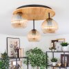 Koyoto Deckenleuchte Glas 15 cm Naturfarben, Schwarz, 3-flammig