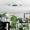 Loron Deckenleuchte LED Silber, Weiß, 1-flammig
