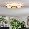Loron Deckenleuchte LED Silber, Weiß, 1-flammig