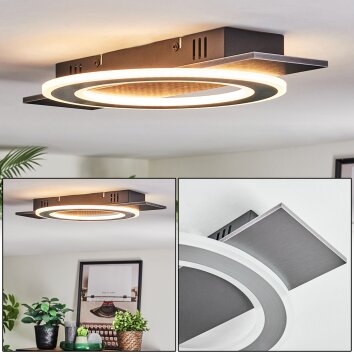 Lidor Deckenleuchte LED Schwarz, Silber, 1-flammig