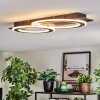 Lidor Deckenleuchte LED Schwarz, Silber, 1-flammig