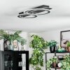 Lidor Deckenleuchte LED Schwarz, Silber, 1-flammig
