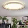 Ipres Deckenleuchte LED Silber, Weiß, 1-flammig