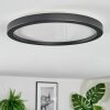 Xarel Deckenleuchte LED Schwarz, 1-flammig