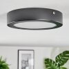Isela Deckenleuchte LED Schwarz, 1-flammig