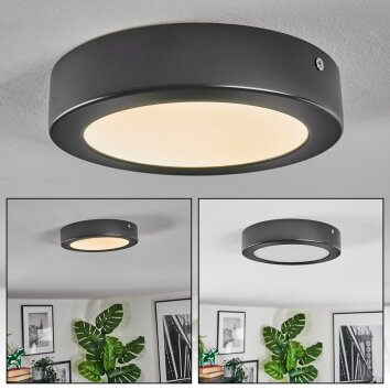 Isela Deckenleuchte LED Schwarz, 1-flammig