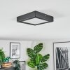 Isela Deckenleuchte LED Schwarz, 1-flammig