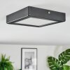 Isela Deckenleuchte LED Schwarz, 1-flammig