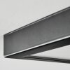 Isela Deckenleuchte LED Schwarz, 1-flammig