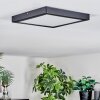 Isela Deckenleuchte LED Schwarz, 1-flammig