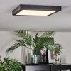 Isela Deckenleuchte LED Schwarz, 1-flammig