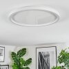 Xarel Deckenleuchte LED Weiß, 1-flammig
