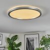 Xarel Deckenleuchte LED Silber, 1-flammig