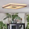 Ilion Deckenleuchte LED Nickel-Matt, Weiß, 1-flammig