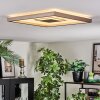 Ilion Deckenleuchte LED Nickel-Matt, Weiß, 1-flammig