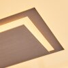 Ilion Deckenleuchte LED Nickel-Matt, Weiß, 1-flammig