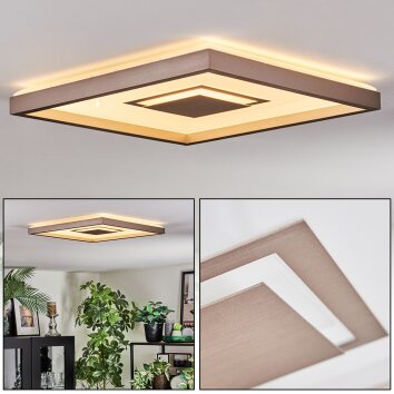 Ilion Deckenleuchte LED Nickel-Matt, Weiß, 1-flammig