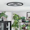 Ilyan Deckenleuchte LED Schwarz, 1-flammig