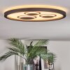 Ilyan Deckenleuchte LED Schwarz, 1-flammig