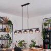 Koyoto Pendelleuchte Glas 15 cm Klar, Rauchfarben, 5-flammig