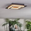 Lidor Deckenleuchte LED Schwarz, 1-flammig