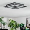 Lidor Deckenleuchte LED Schwarz, 1-flammig